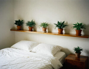 Rutina, limpieza y claridad